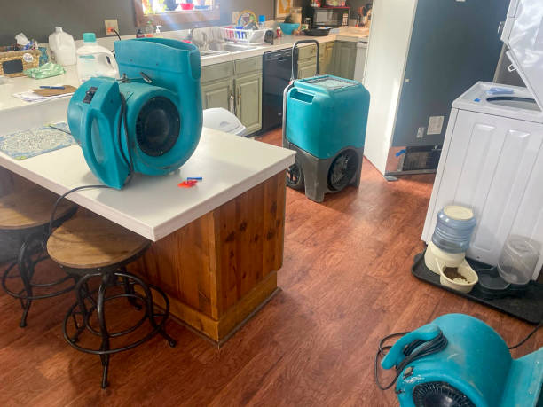  Rantoul, IL Water damage restoration Pros