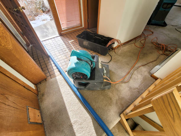 Local water damage restoration in IL