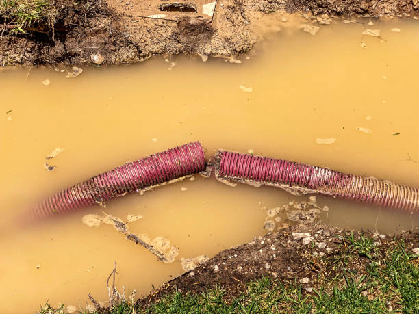 Best Commercial water damage restoration  in Rantoul, IL